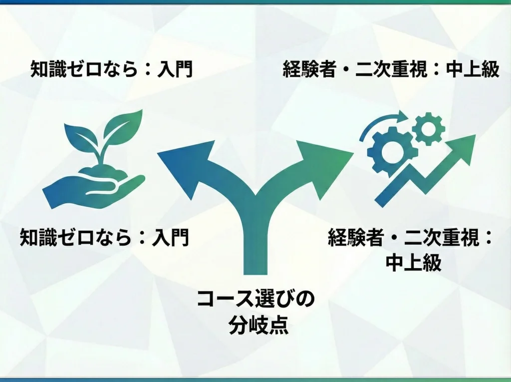 入門カリキュラムと中上級