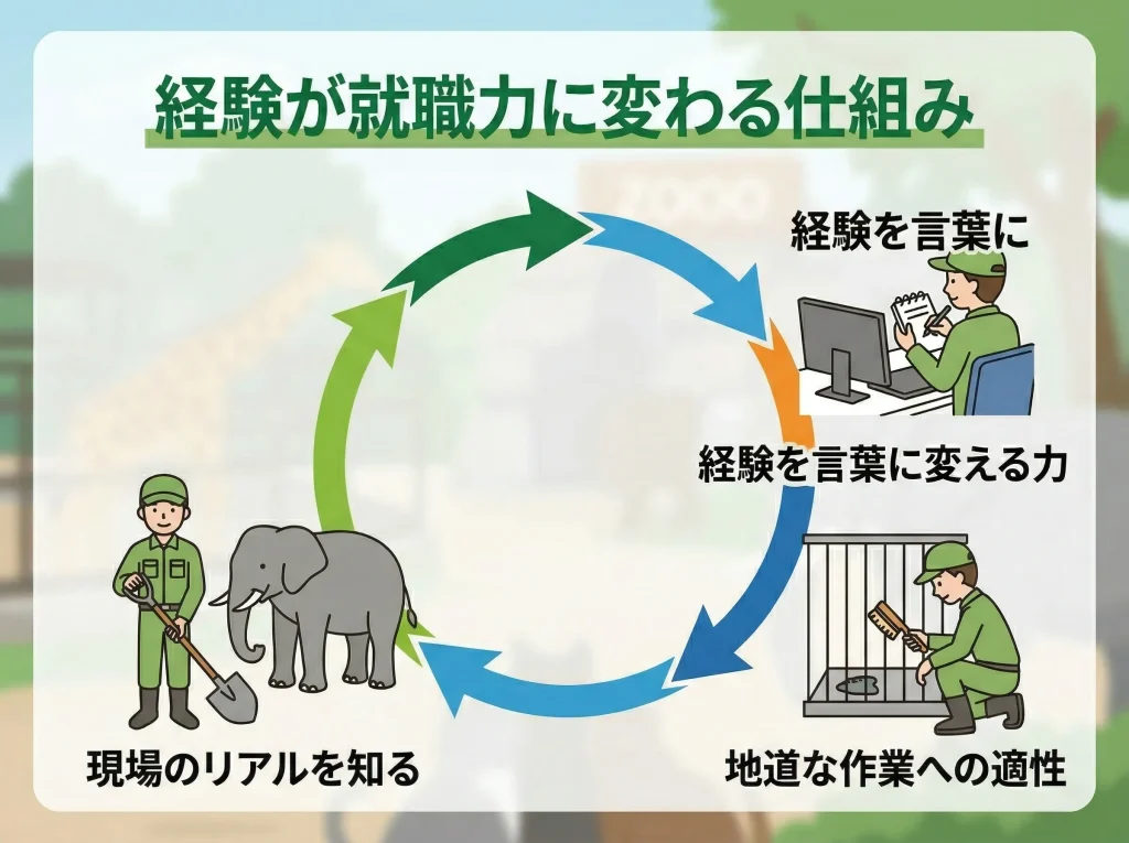 なるには実習経験が重要